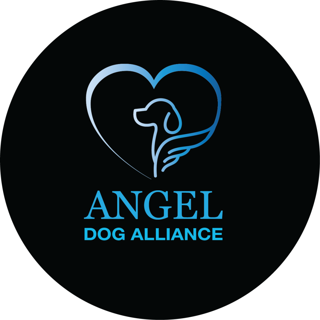 Angel dog alliance foster or adopt a dog in naperville il