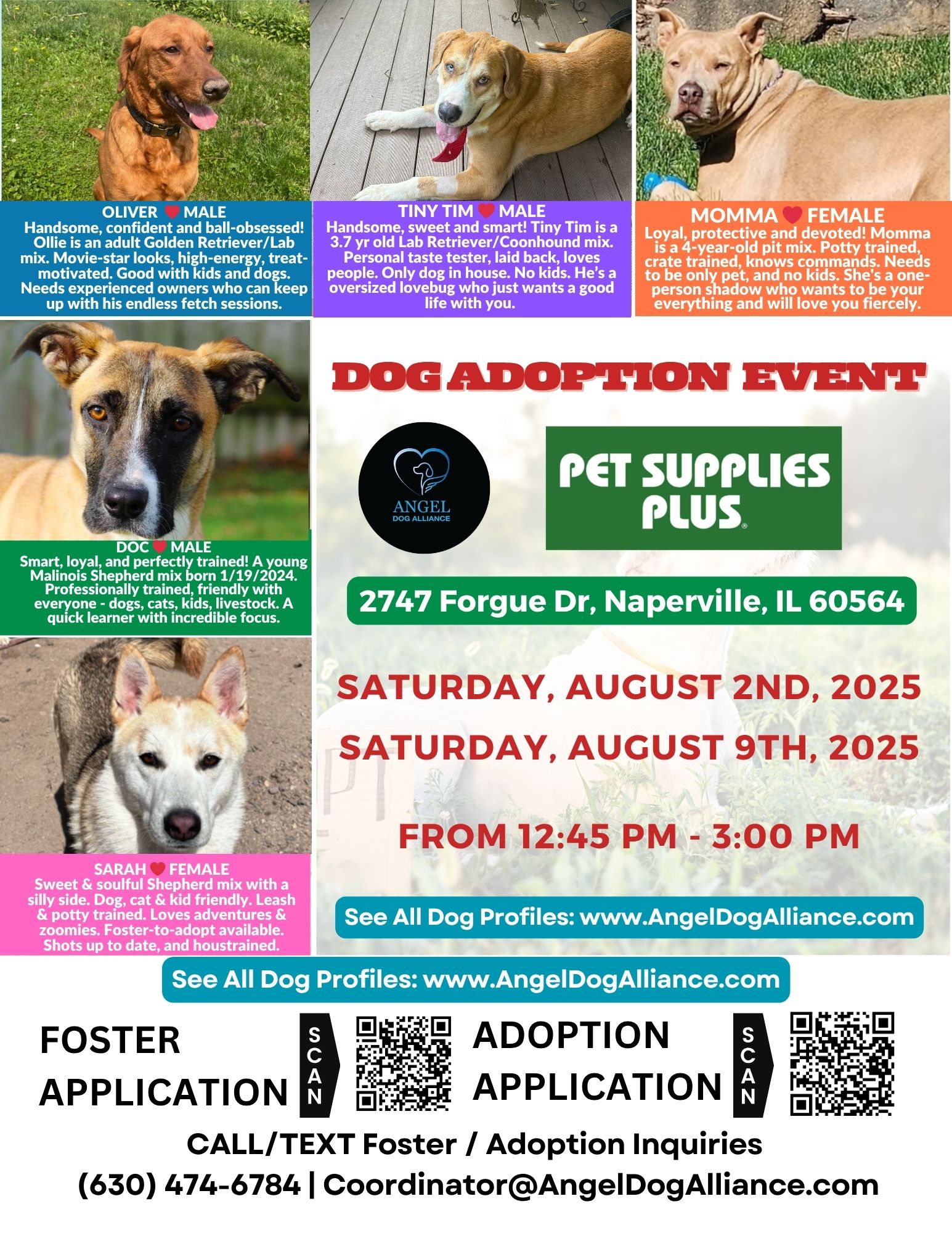 Dog Adoption Event – Naperville