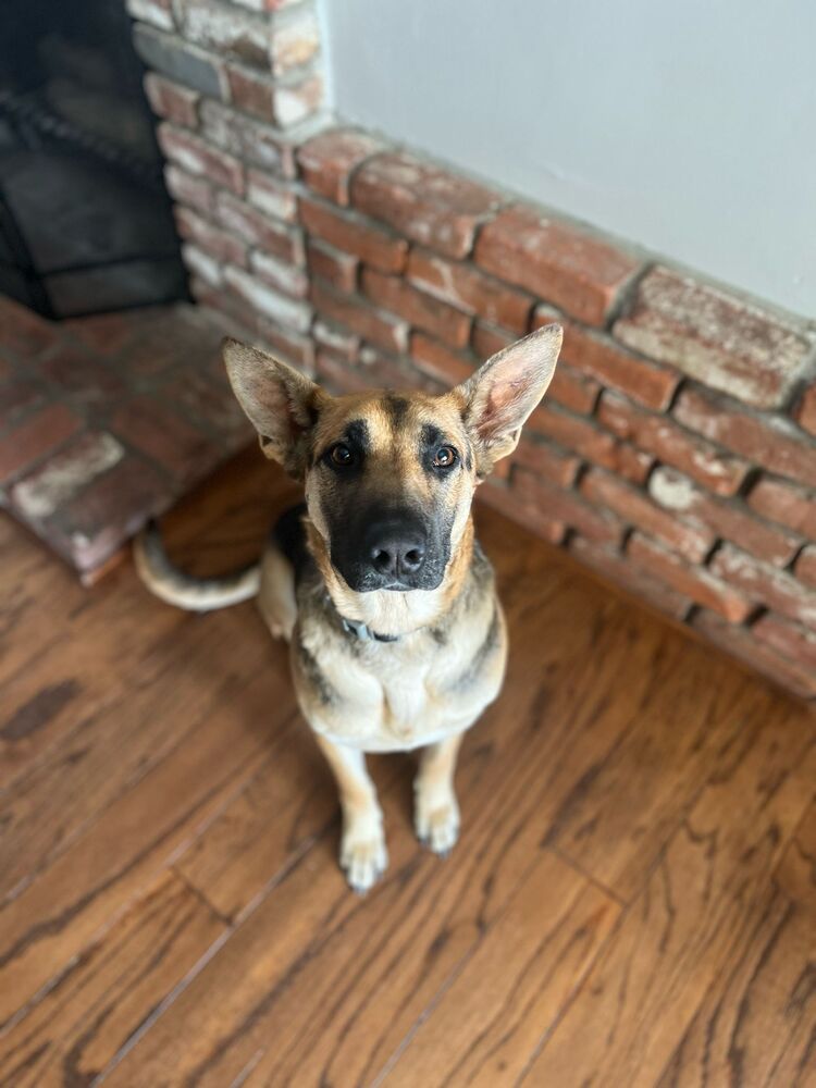 Nala Before