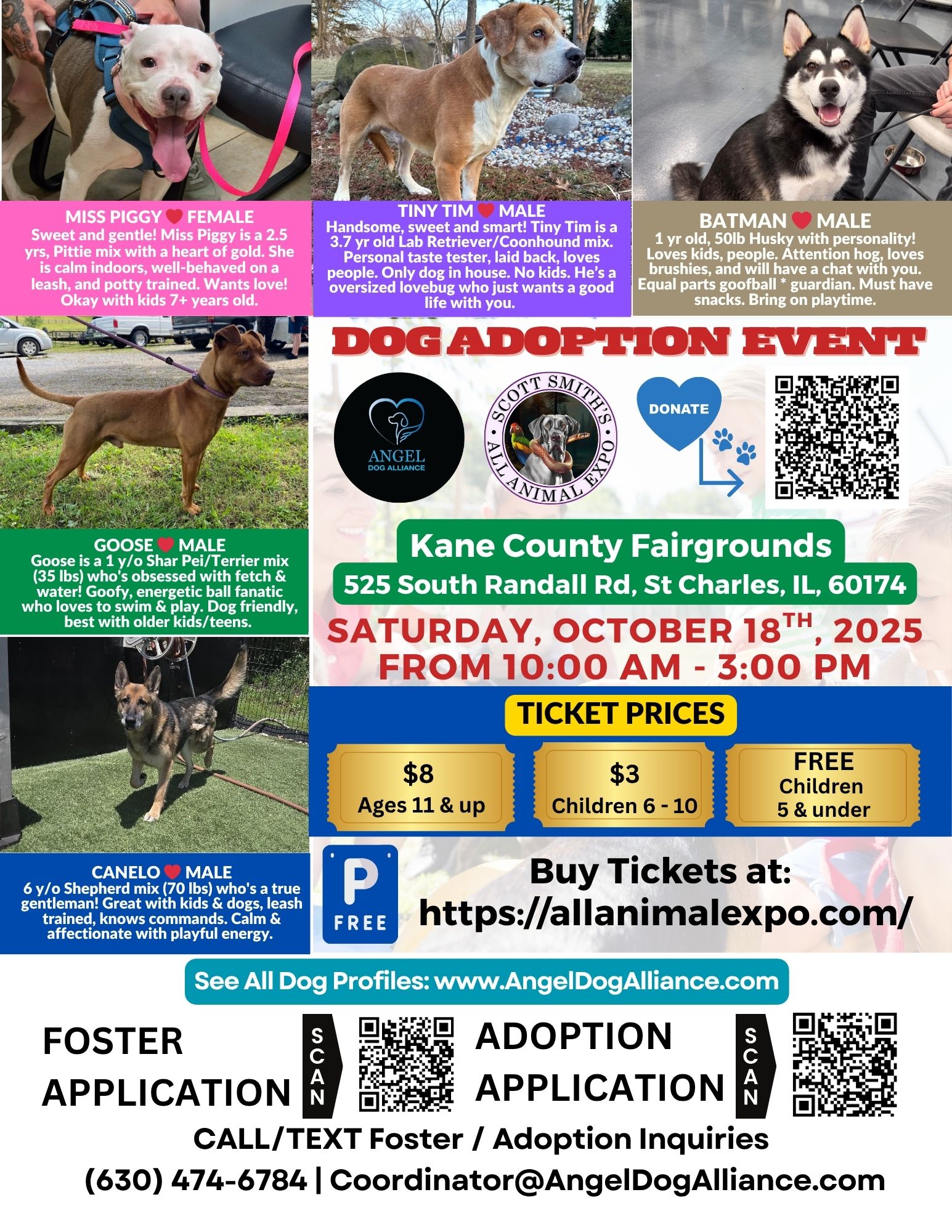 Dog Adoption Event - St Charles - Angel Dog Alliance