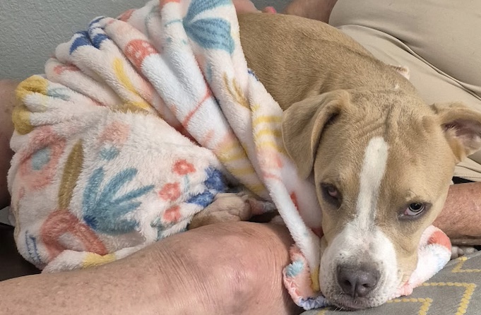 Miriam needs funds for eye surgery