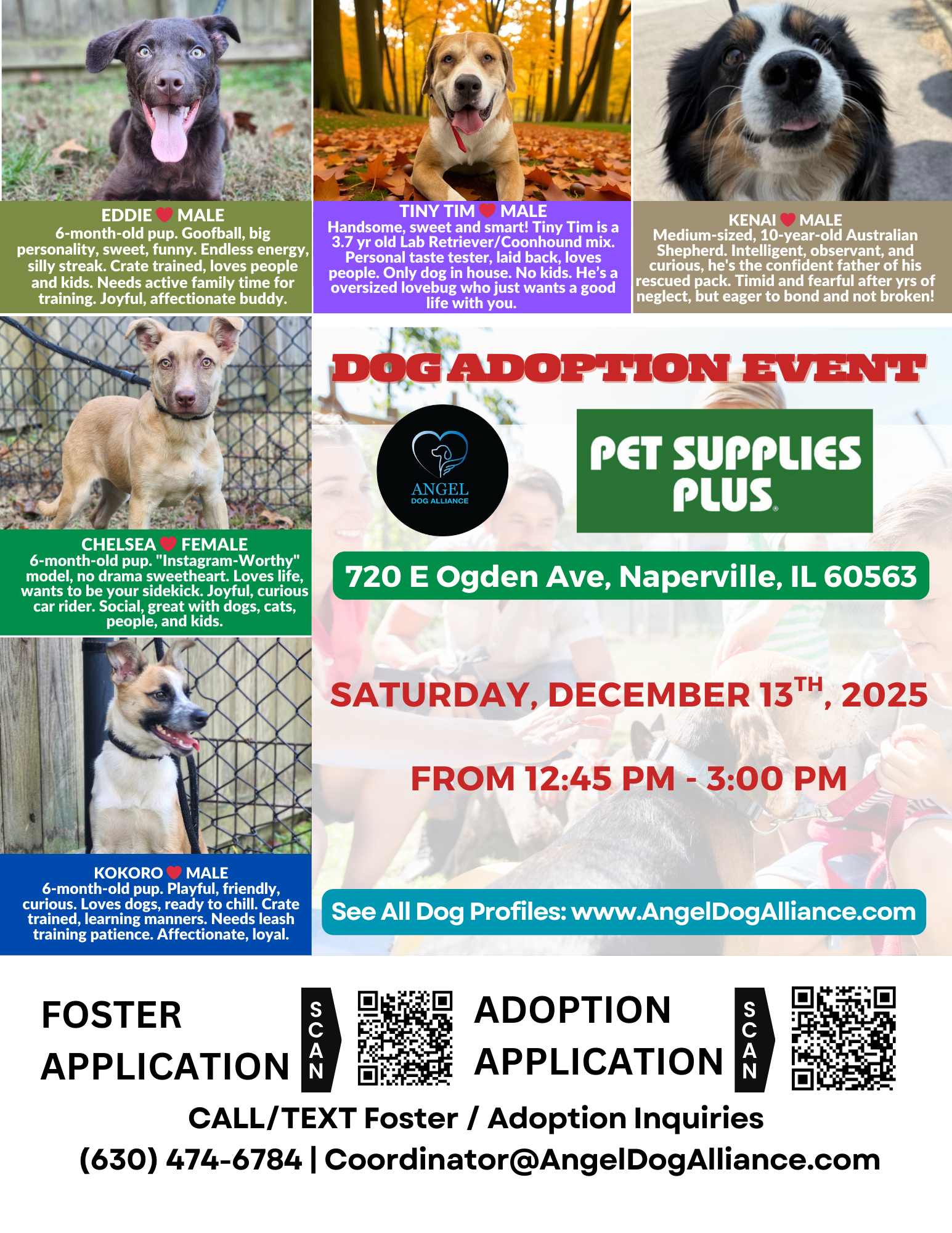 Dog Adoption Event – Naperville