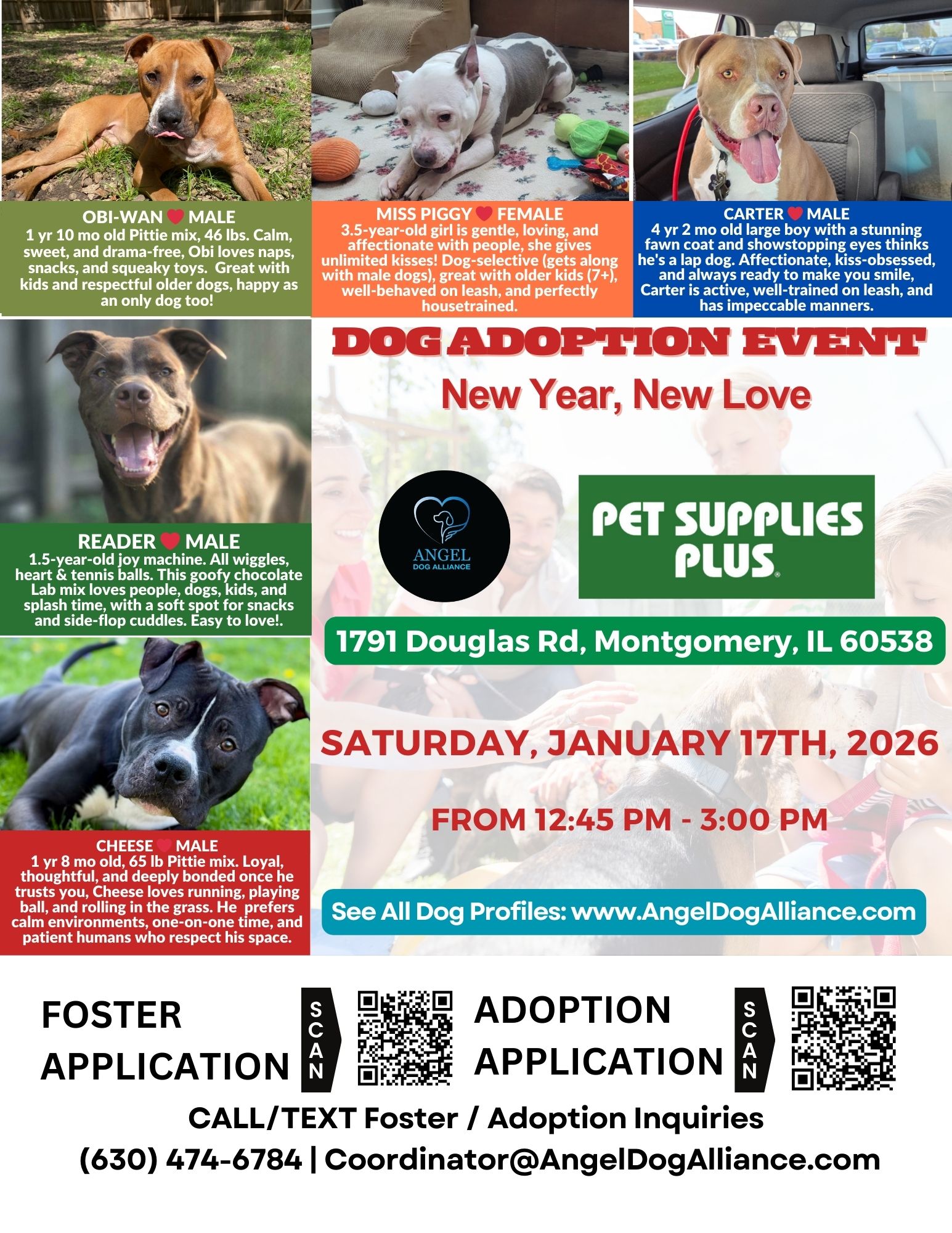 Dog Adoption Event – Montgomery