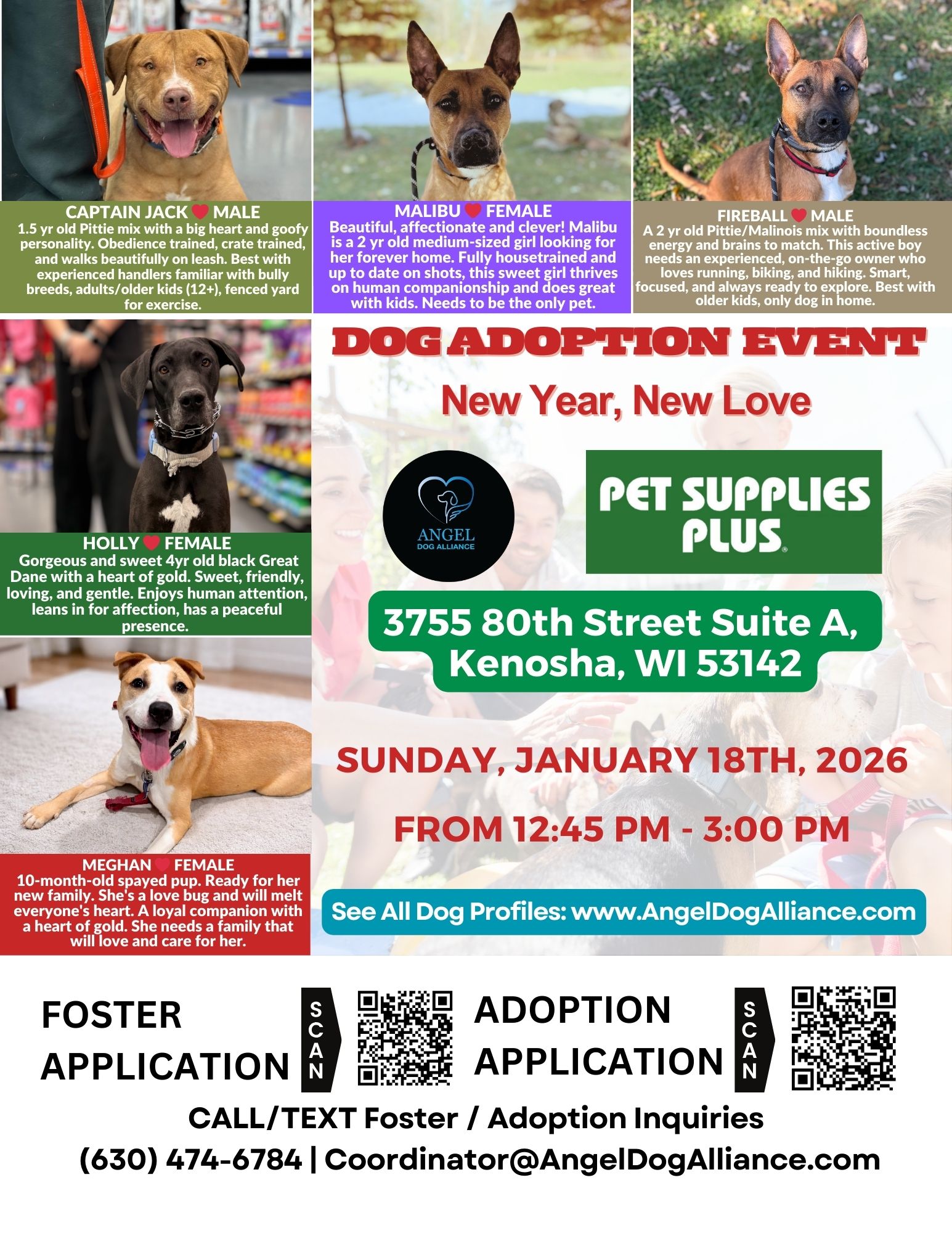 Dog Adoption Event -Kenosha
