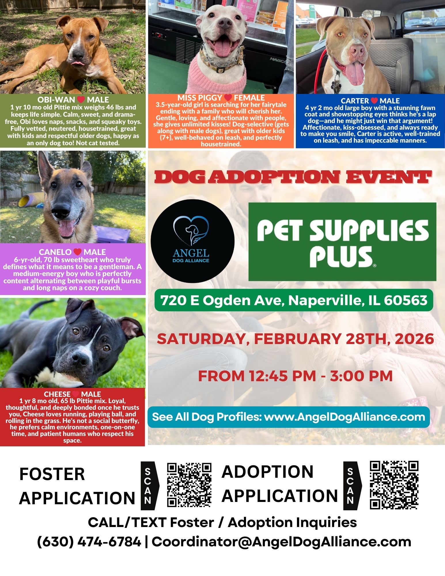 Dog Adoption Event – Naperville