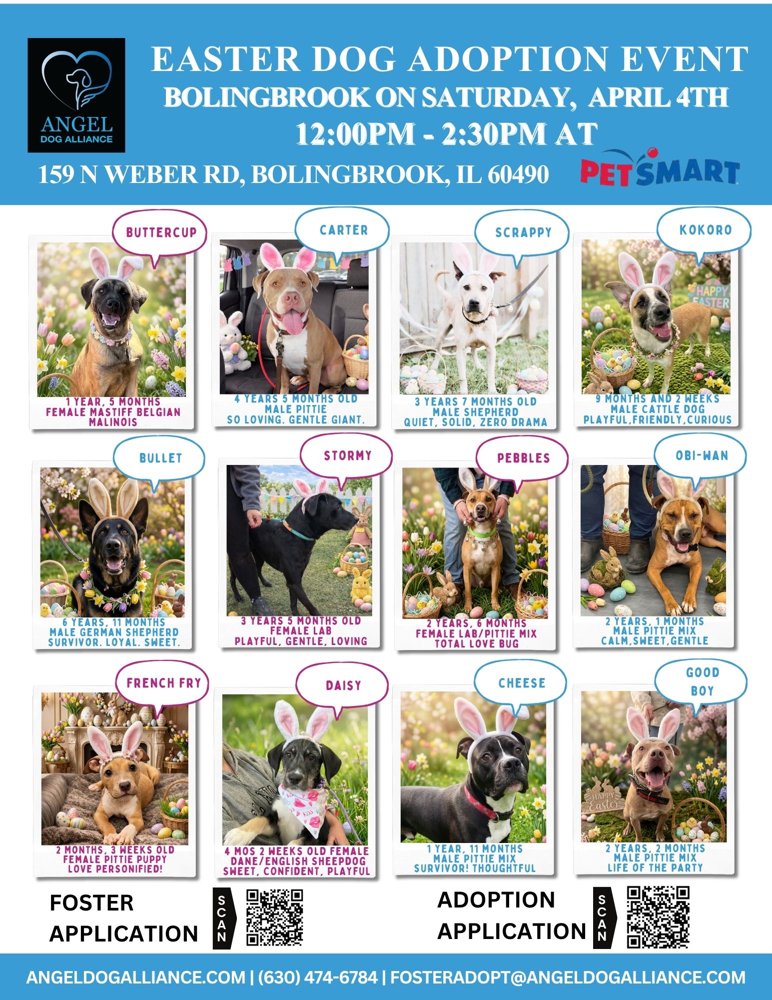 Dog Adoption Event – Bolingbrook