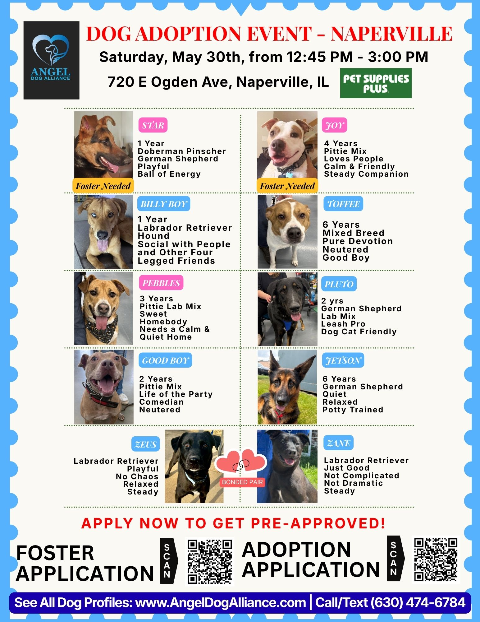 Dog Adoption Event – Naperville