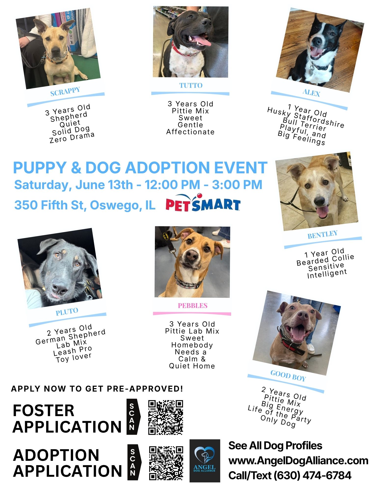 Dog Adoption Event – Oswego