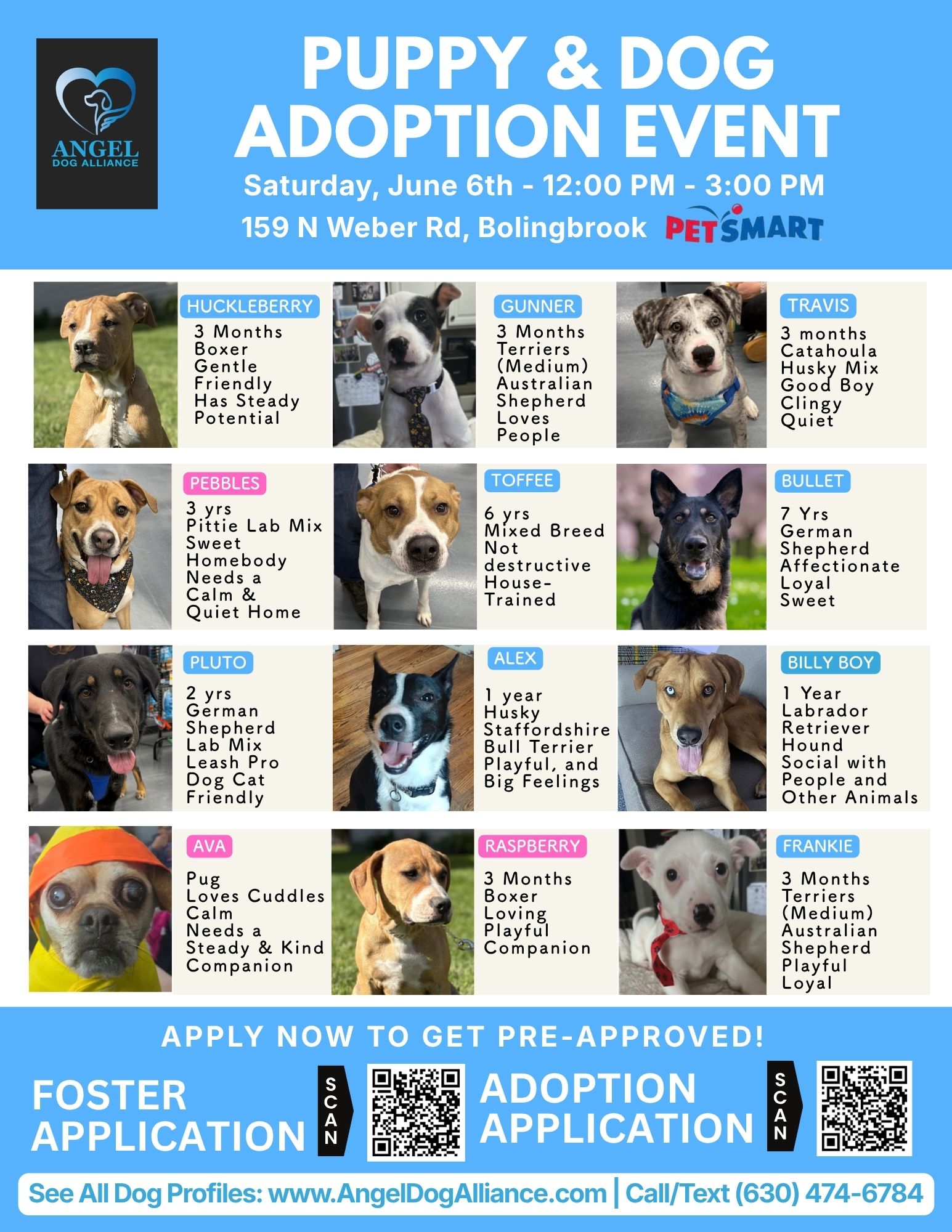 Dog Adoption Event – Bolingbrook