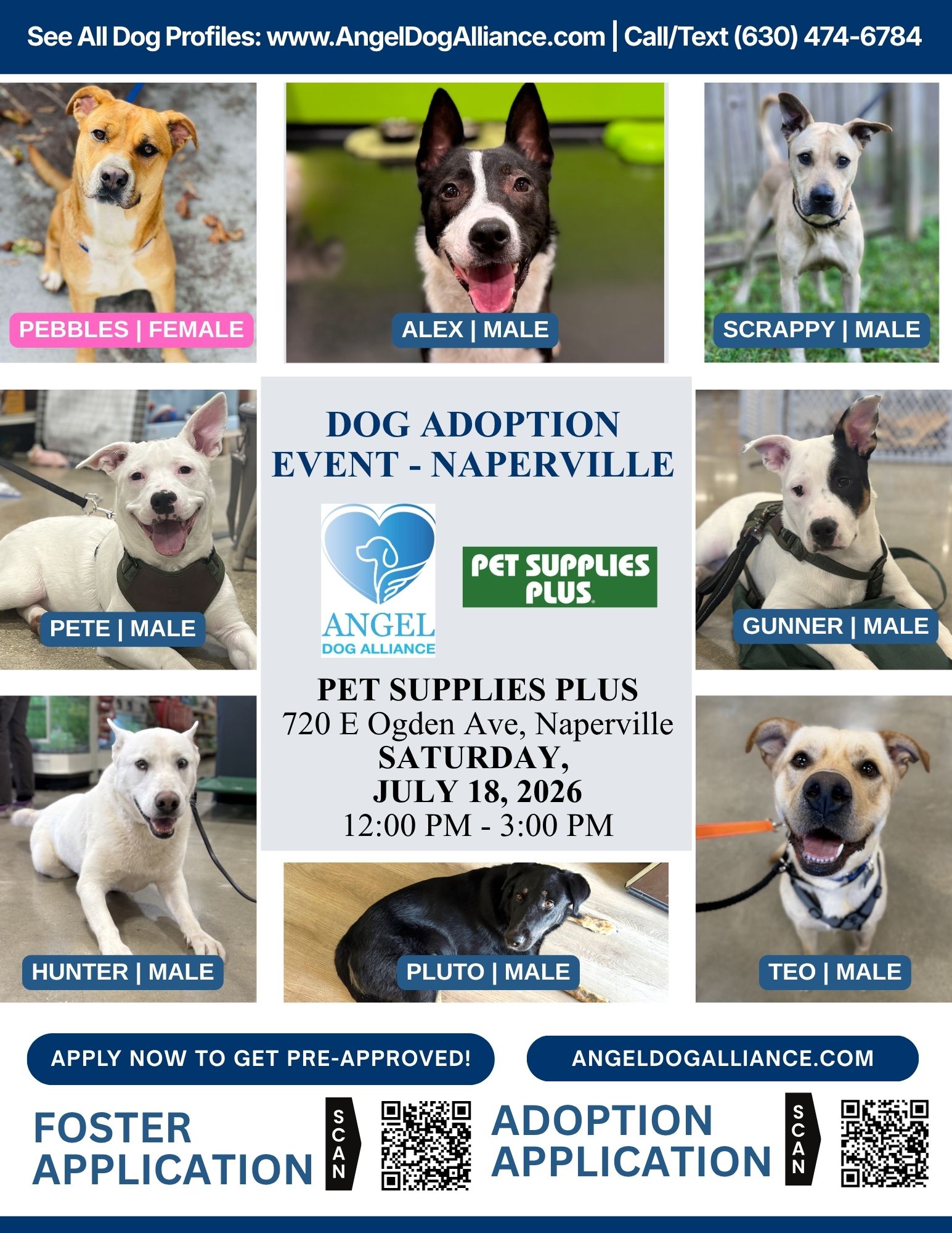 Dog Adoption Event – Naperville
