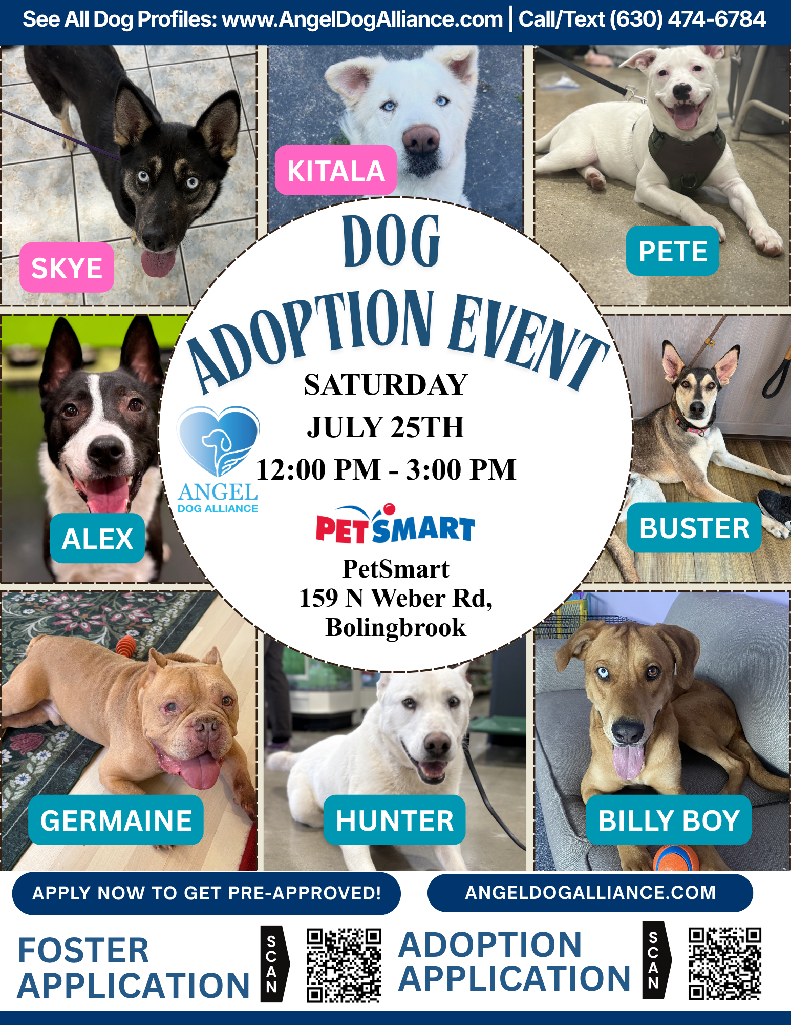 Dog Adoption Event – Bolingbrook