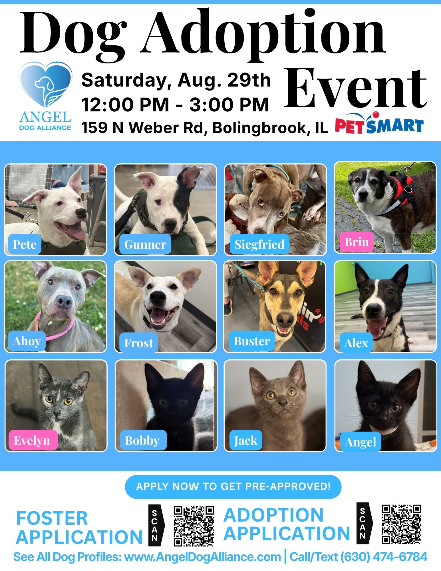 Dog Adoption Event – Bolingbrook