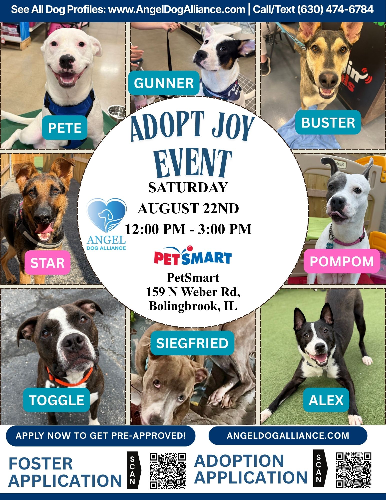 Dog Adoption Event – Bolingbrook