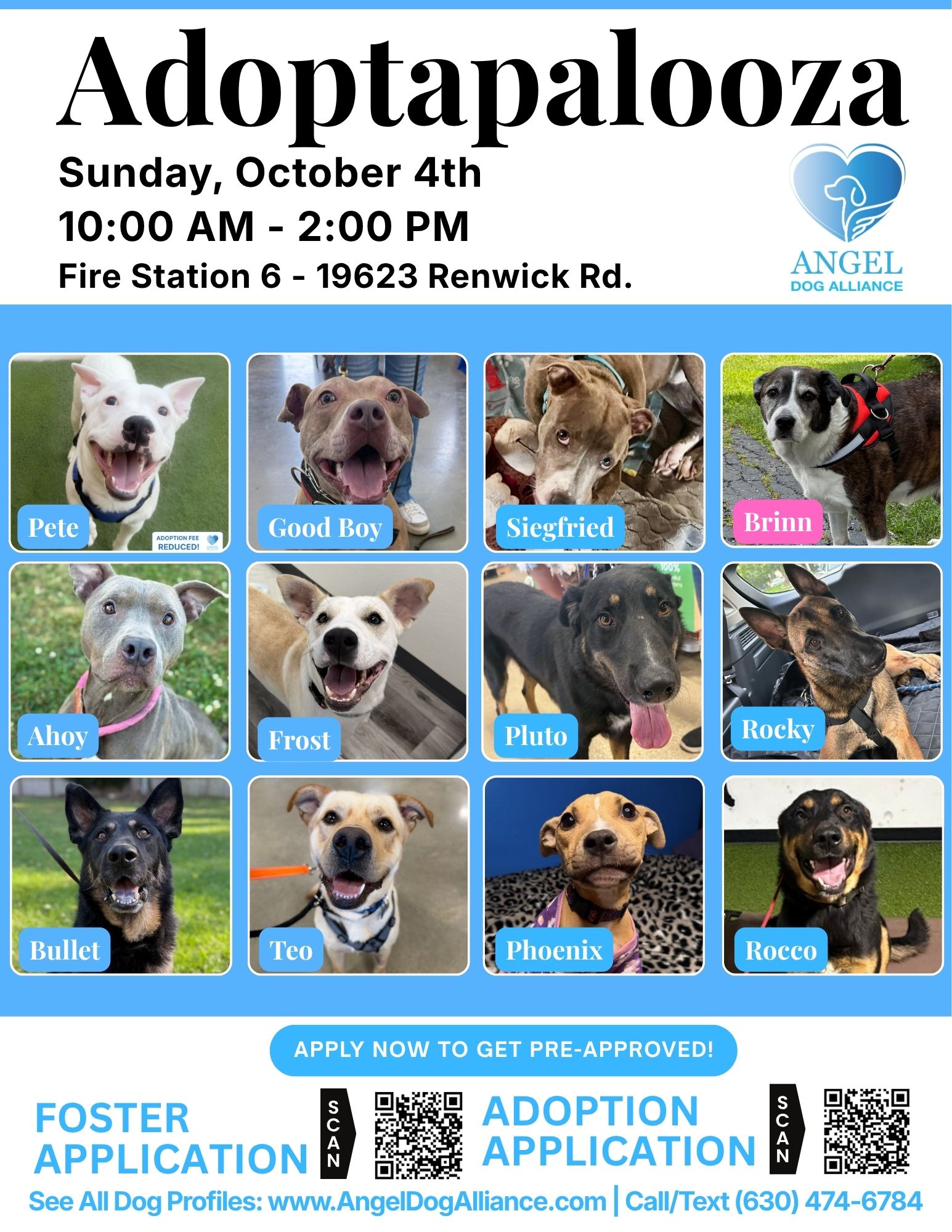 Dog Adoption Event – Lockport